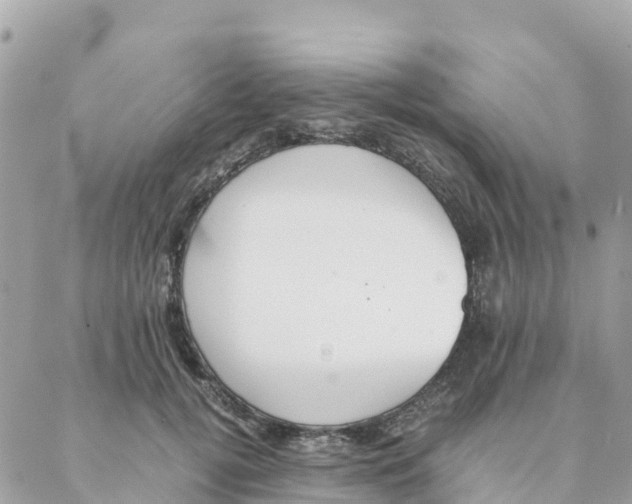 X0000088070752200706011513