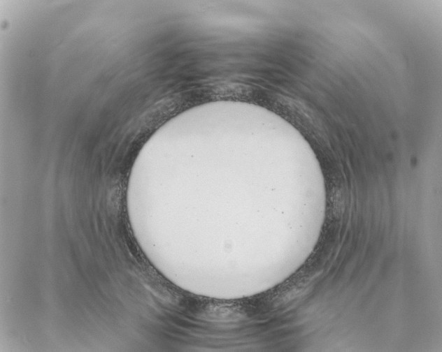 X0000088070753200706011513