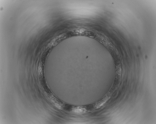 X0000088070754200706011513