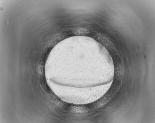 X0000088070755200706011513