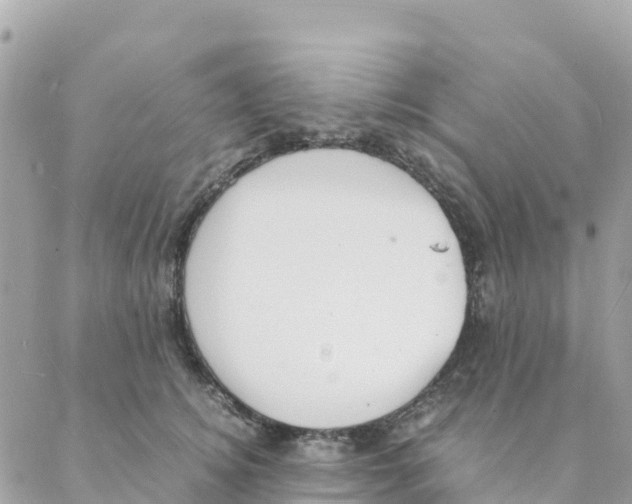 X0000088070756200706011513