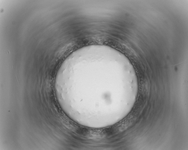 X0000088070757200706011513