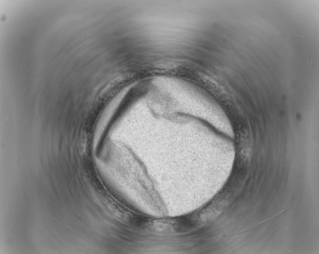 X0000088070758200706011513