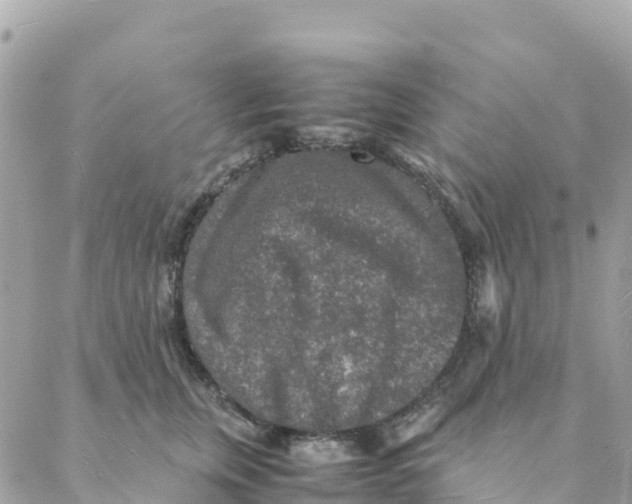 X0000088070759200706011513