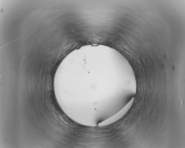 X0000088070760200706011513