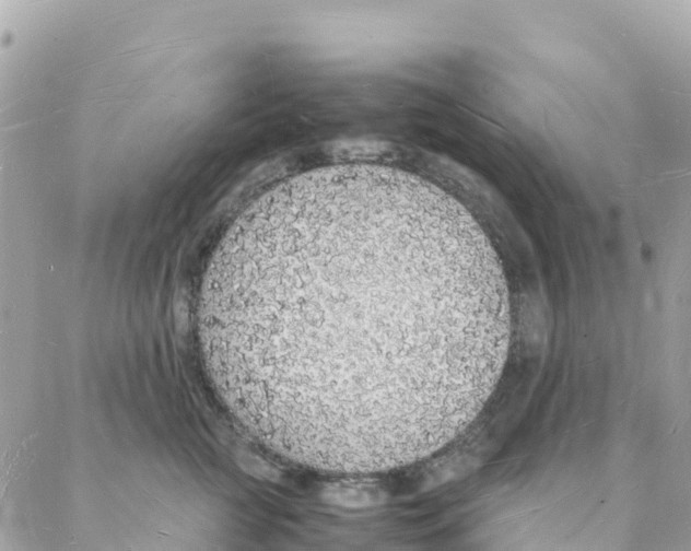 X0000088070761200706011513