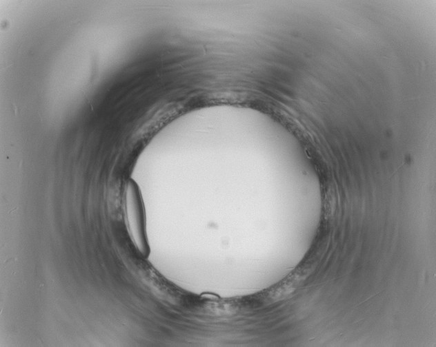 X0000088070764200706011513