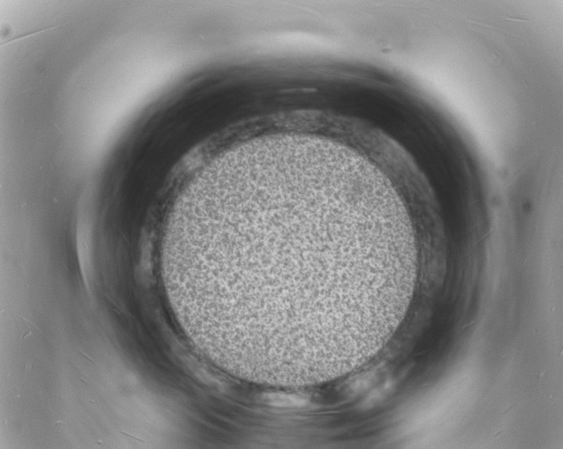 X0000088070765200706011513