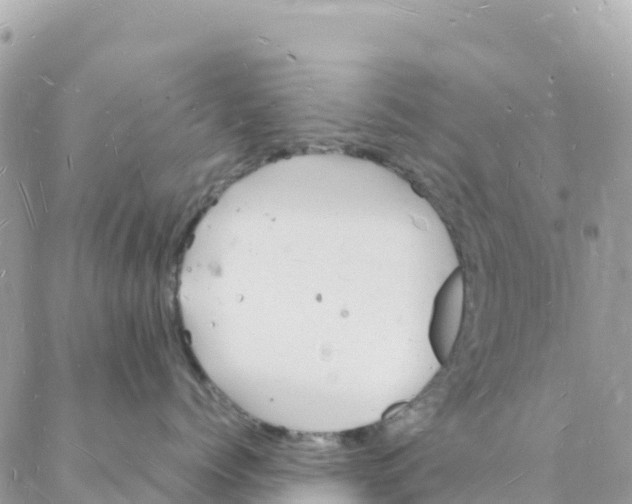 X0000088070768200706011513