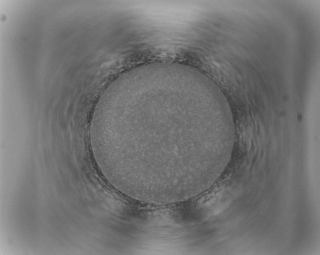 X0000088070769200706011513