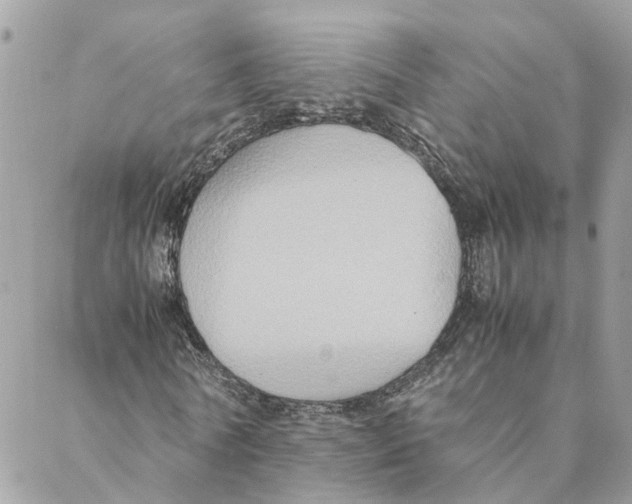 X0000088070770200706011513