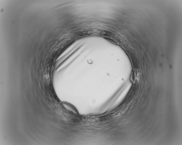 X0000088070771200706011513