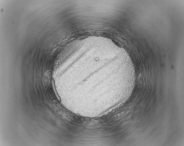 X0000088070772200706011513