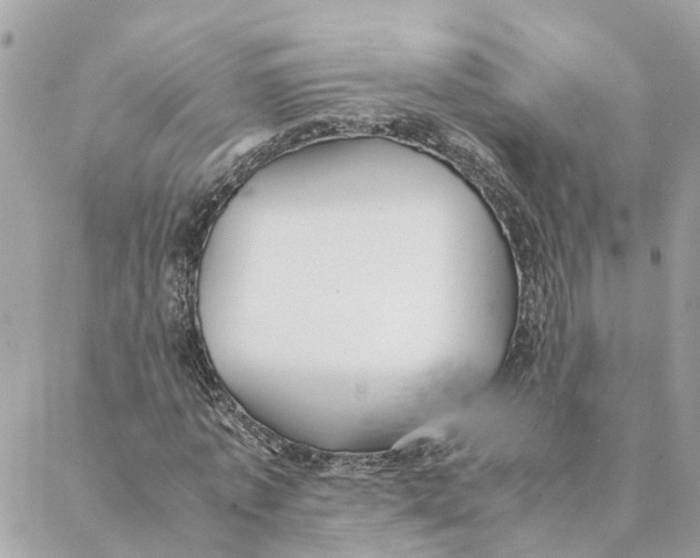 X0000088070773200706011513