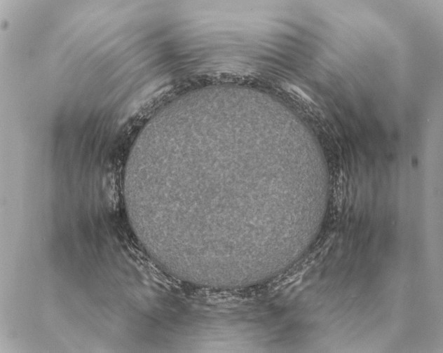 X0000088070774200706011513