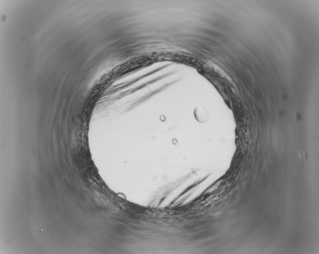 X0000088070775200706011512