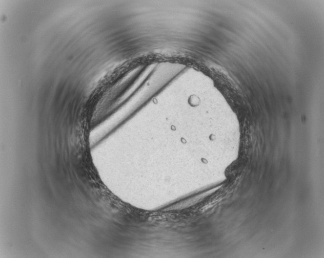 X0000088070776200706011512