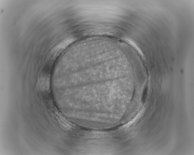 X0000088070777200706011512