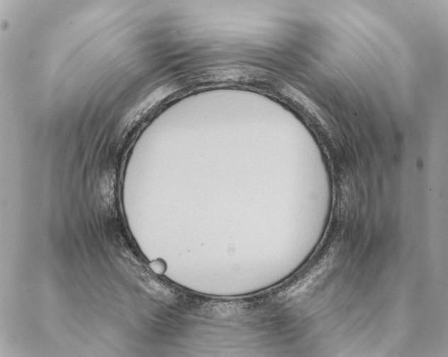 X0000088070778200706011512