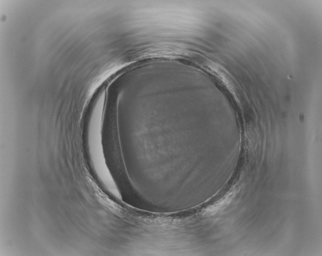 X0000088070779200706011512