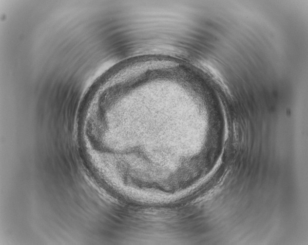 X0000088070780200706011512