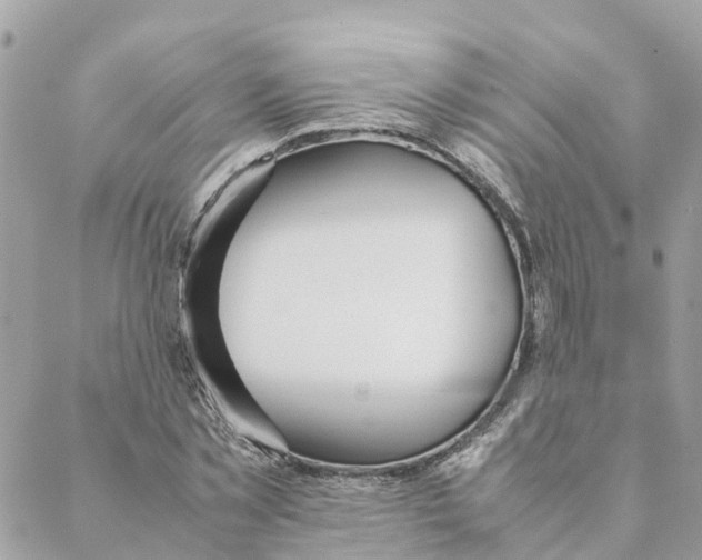 X0000088070781200706011512