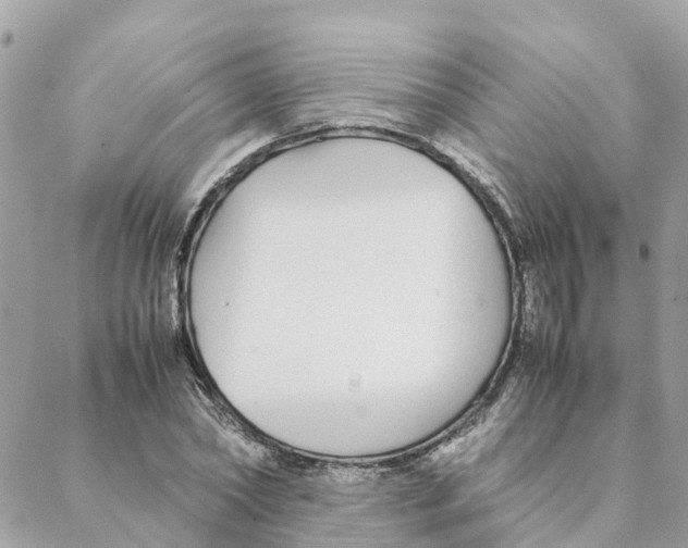 X0000088070782200706011512