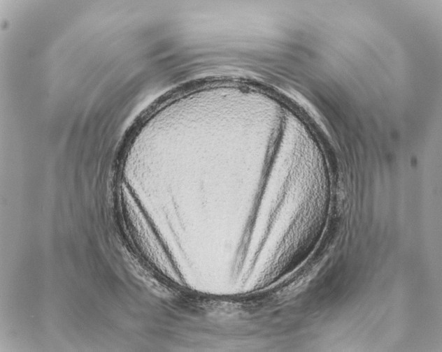 X0000088070783200706011512