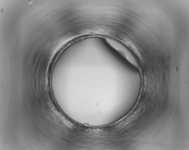 X0000088070784200706011512