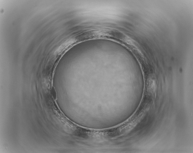 X0000088070785200706011512