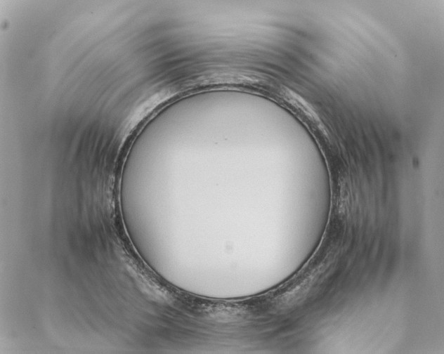 X0000088070786200706011512