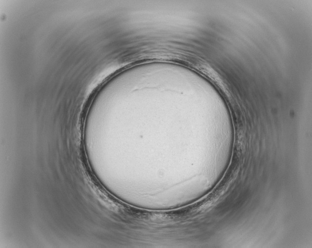 X0000088070787200706011512