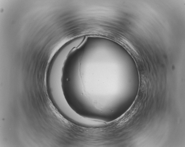 X0000088070788200706011512