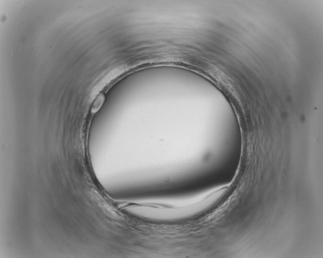 X0000088070789200706011512