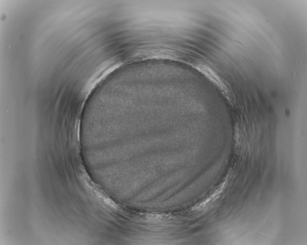 X0000088070790200706011512