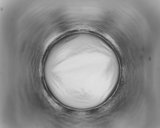 X0000088070791200706011512