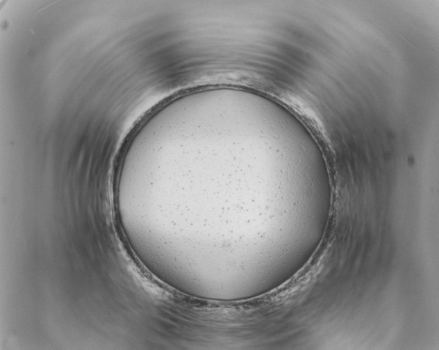 X0000088070792200706011512