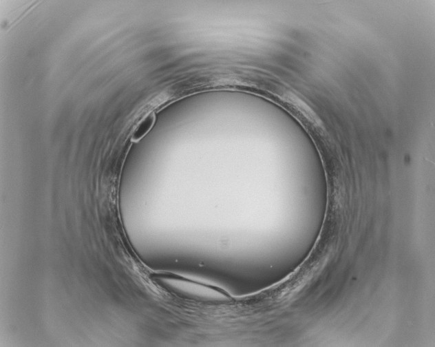 X0000088070793200706011512