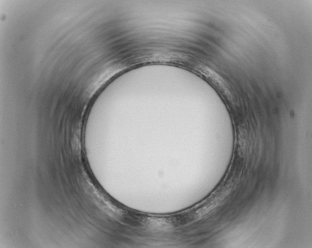 X0000088070794200706011512