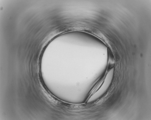 X0000088070795200706011512