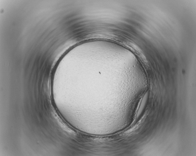 X0000088070796200706011512