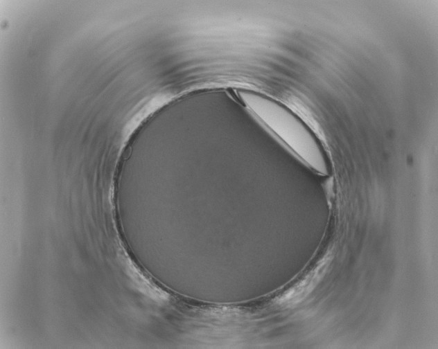 X0000088070797200706011512