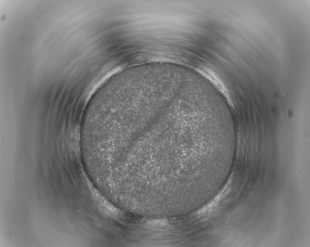 X0000088070798200706011512