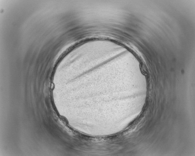 X0000088070799200706011512