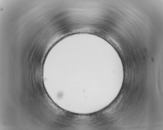 X0000088070800200706011512