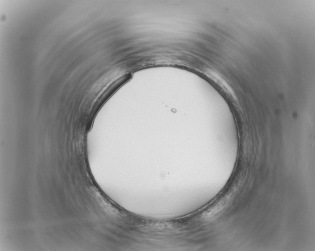 X0000088070801200706011512