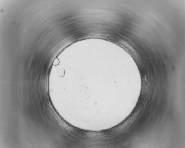 X0000088070804200706011512