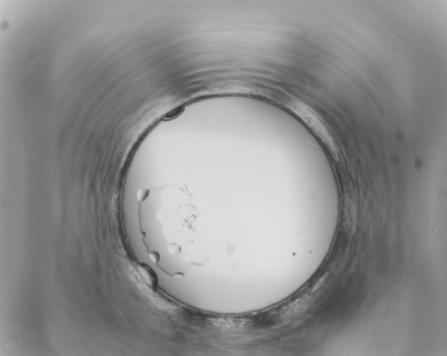 X0000088070805200706011512