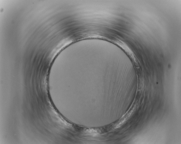 X0000088070806200706011512