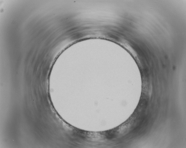 X0000088070807200706011512